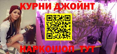 гидра Славгород