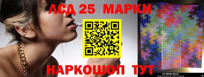 гидра Славгород