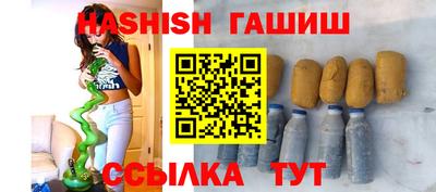 гидра Славгород