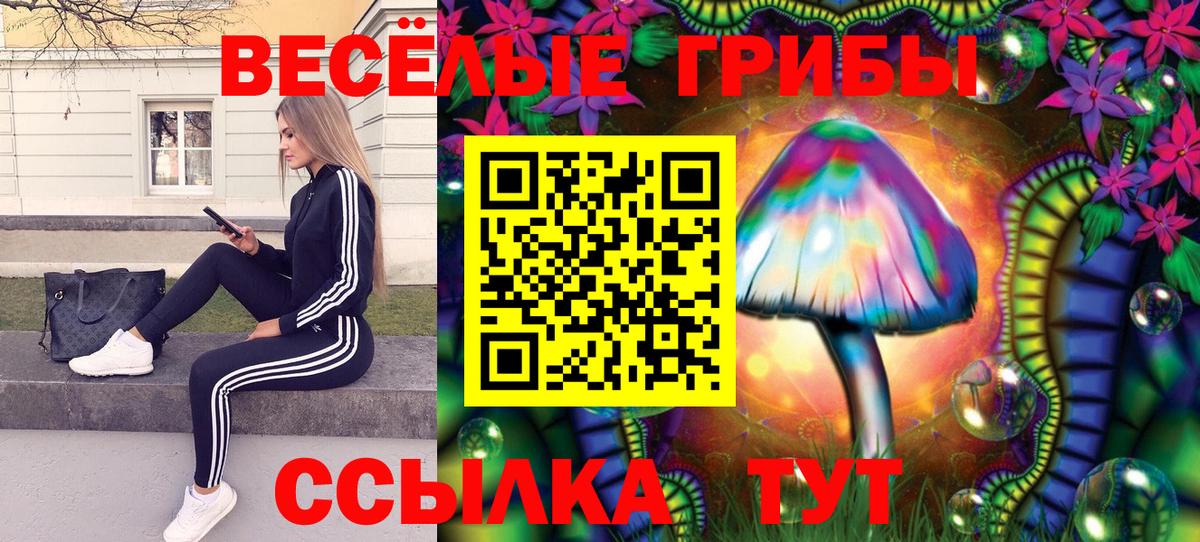 Ревда  Галлюциногенные грибы прущие грибы  Вход с VPN 