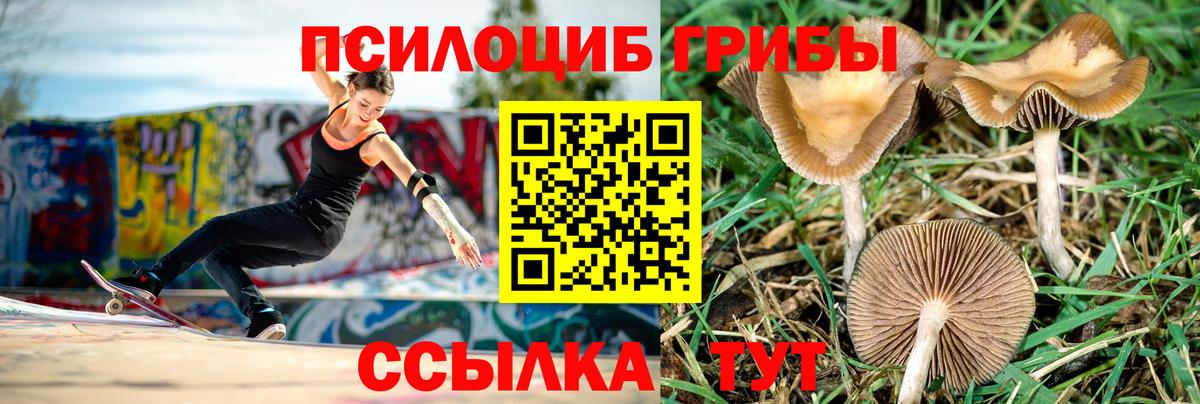 Галлюциногенные грибы прущие грибы Ревда
