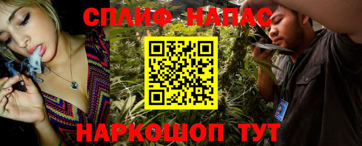 Бошки Шишки марихуана Ревда